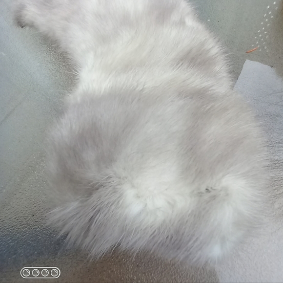 Fur Collar Silver Short 50's - Picture 4 of 5